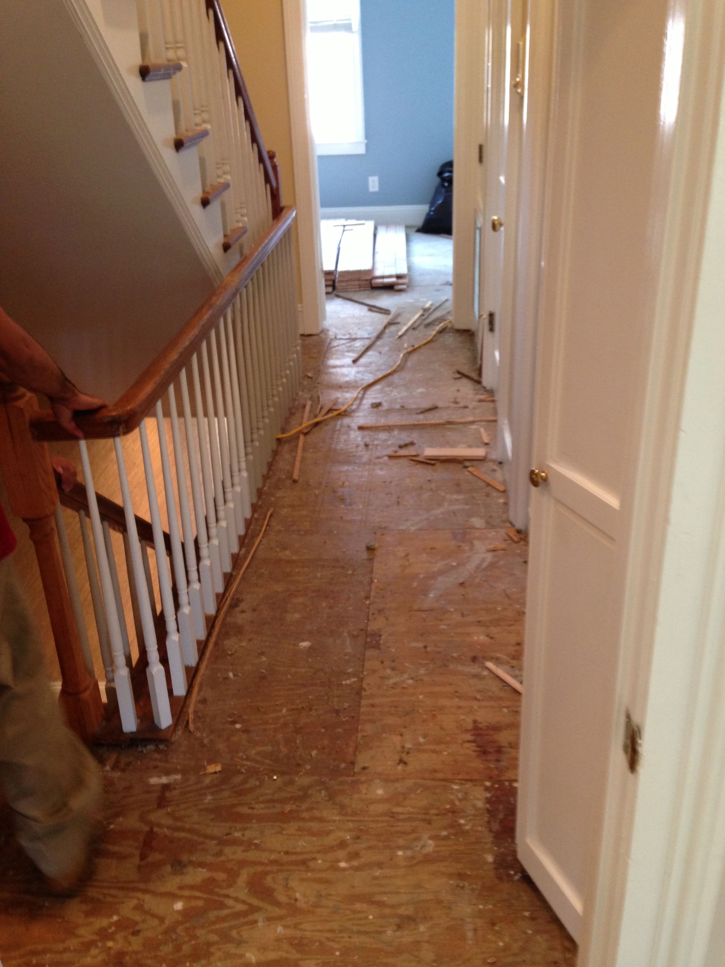 A photo of plywood subflooring prior to installation of new red oak hardwood flooring.